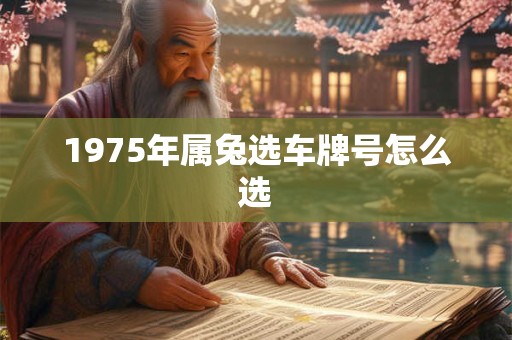 1975年属兔选车牌号怎么选