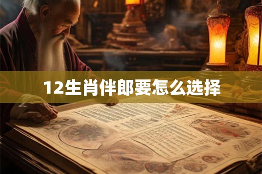 12生肖伴郎要怎么选择