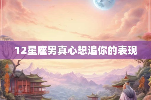 12星座男真心想追你的表现