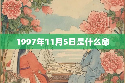 1997年11月5日是什么命