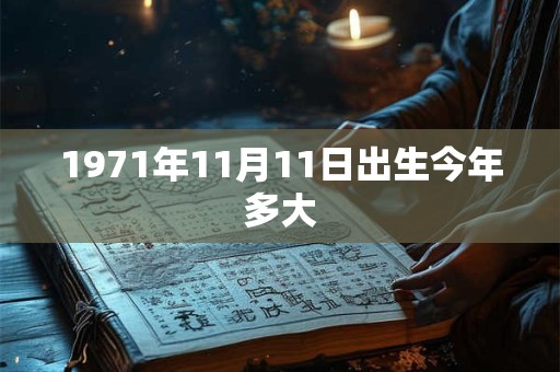 1971年11月11日出生今年多大
