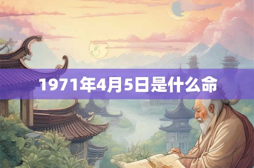 1971年4月5日是什么命