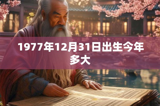 1977年12月31日出生今年多大