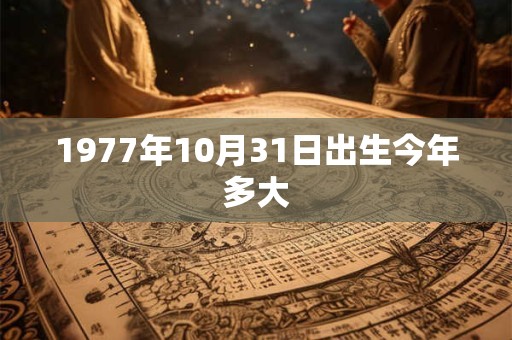 1977年10月31日出生今年多大