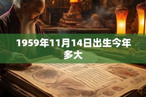 1959年11月14日出生今年多大