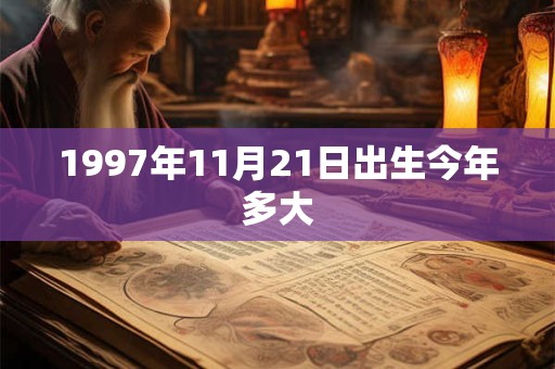 1997年11月21日出生今年多大