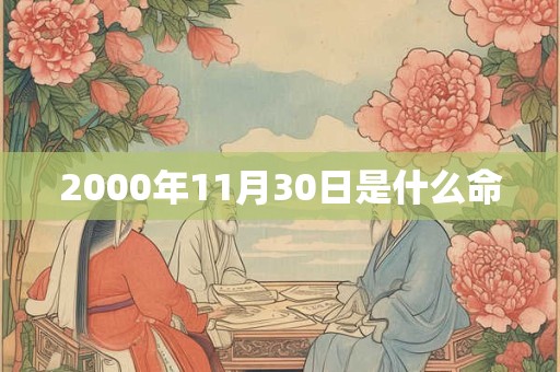 2000年11月30日是什么命 2000年11月30日是什么命