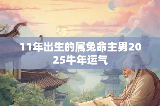 11年出生的属兔命主男2025牛年运气