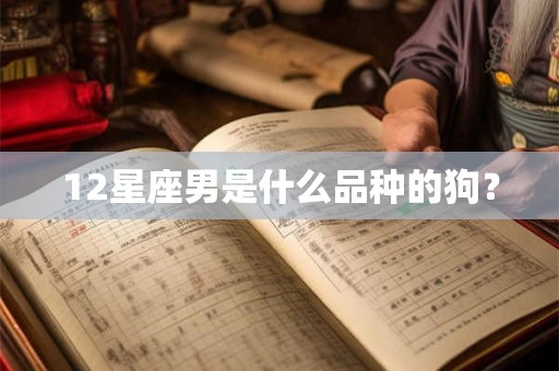 12星座男是什么品种的狗？