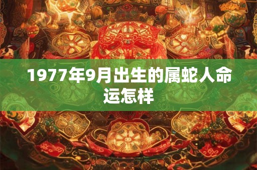 1977年9月出生的属蛇人命运怎样