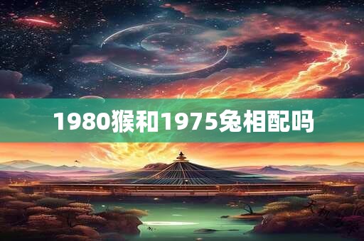 1980猴和1975兔相配吗