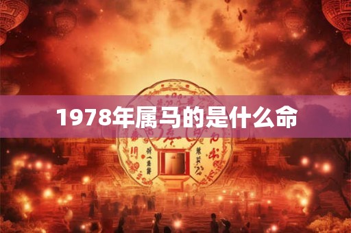 1978年属马的是什么命