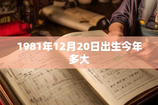 1981年12月20日出生今年多大