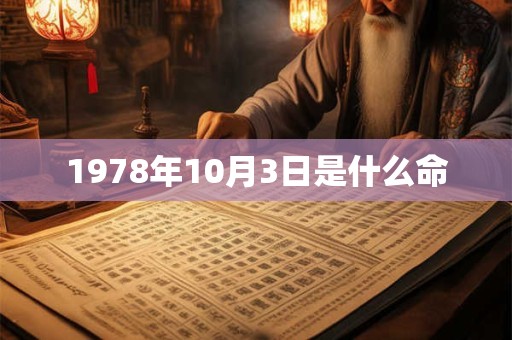 1978年10月3日是什么命
