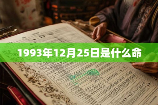 1993年12月25日是什么命