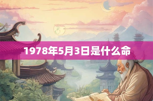 1978年5月3日是什么命