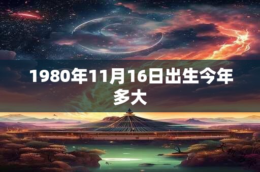 1980年11月16日出生今年多大