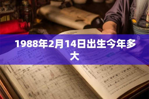1988年2月14日出生今年多大