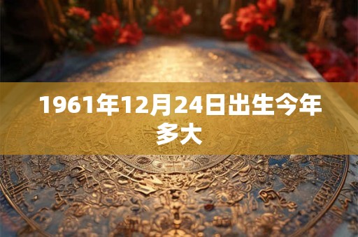 1961年12月24日出生今年多大