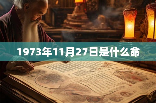 1973年11月27日是什么命