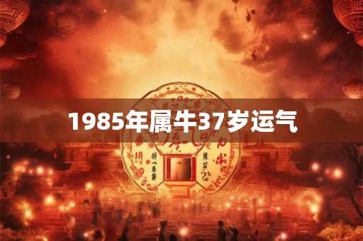 1985年属牛37岁运气