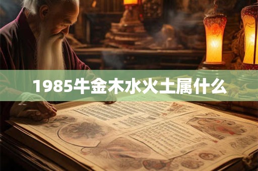1985牛金木水火土属什么