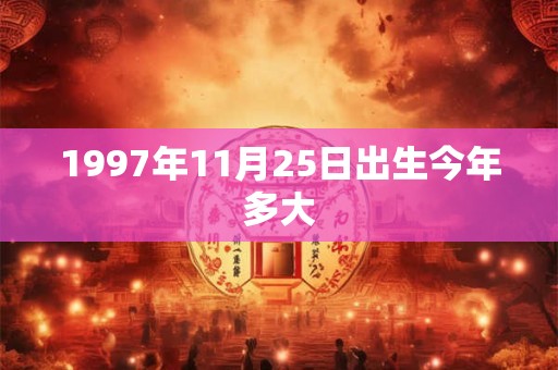 1997年11月25日出生今年多大