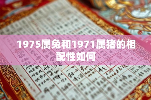 1975属兔和1971属猪的相配性如何