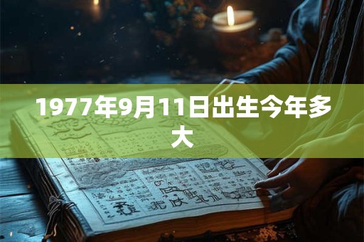 1977年9月11日出生今年多大