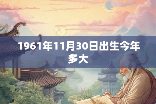 1961年11月30日出生今年多大