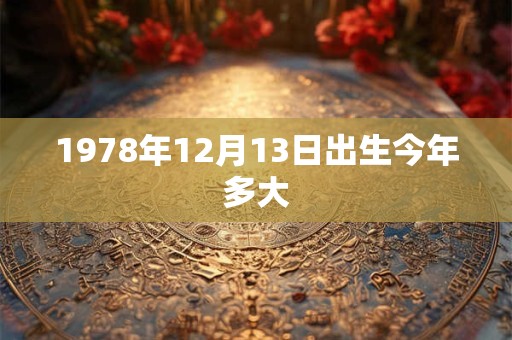 1978年12月13日出生今年多大