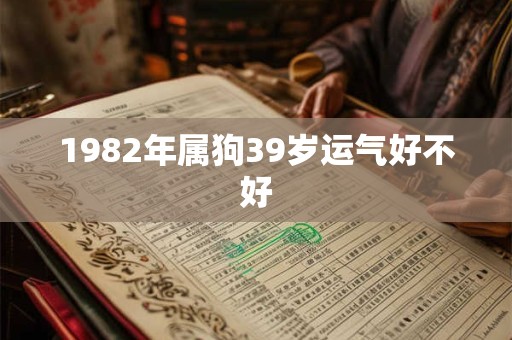 1982年属狗39岁运气好不好