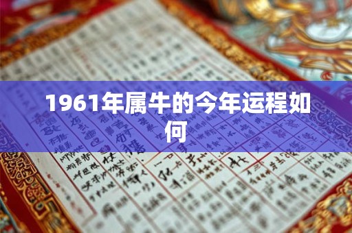 1961年属牛的今年运程如何