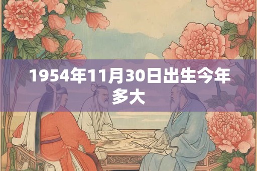 1954年11月30日出生今年多大