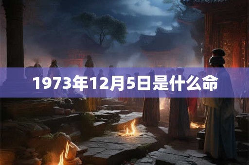 1973年12月5日是什么命
