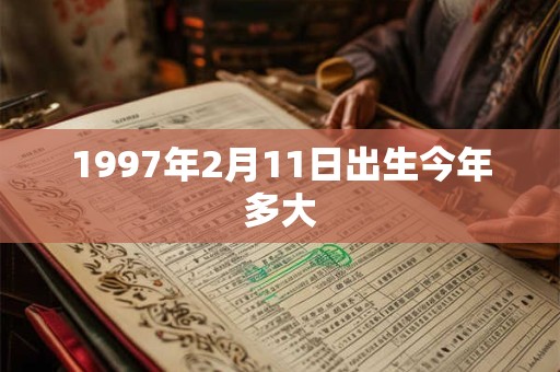 1997年2月11日出生今年多大