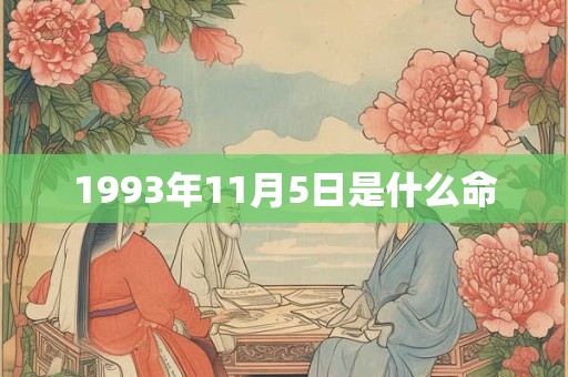 1993年11月5日是什么命
