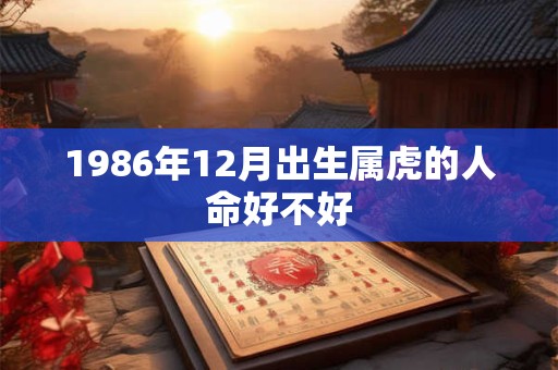 1986年12月出生属虎的人命好不好