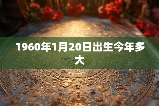 1960年1月20日出生今年多大