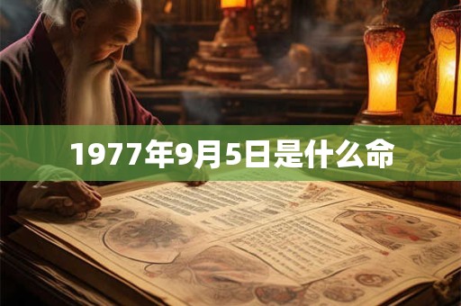 1977年9月5日是什么命