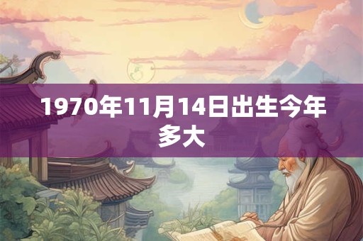 1970年11月14日出生今年多大