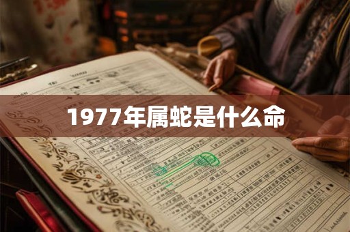 1977年属蛇是什么命