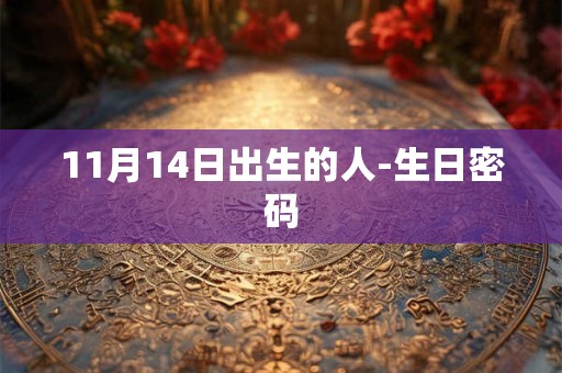11月14日出生的人-生日密码