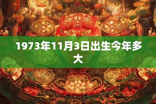 1973年11月3日出生今年多大