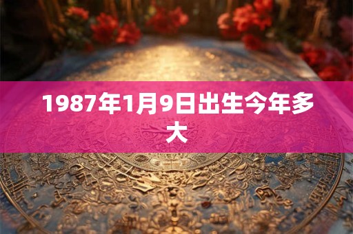 1987年1月9日出生今年多大