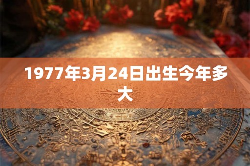 1977年3月24日出生今年多大