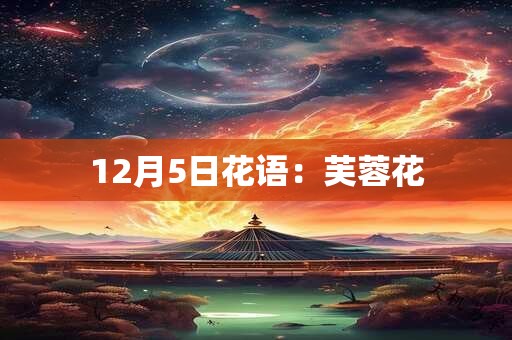 12月5日花语：芙蓉花