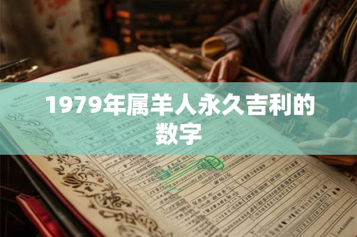 1979年属羊人永久吉利的数字