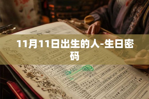 11月11日出生的人-生日密码