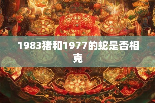 1983猪和1977的蛇是否相克